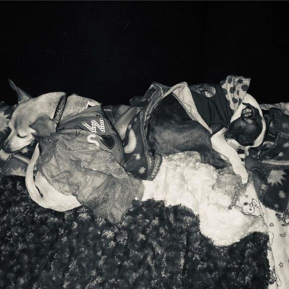 Meet your Posher, Brigitte pascale - Picture 1 of 1